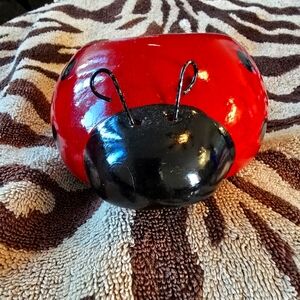 Lady Bug Planter